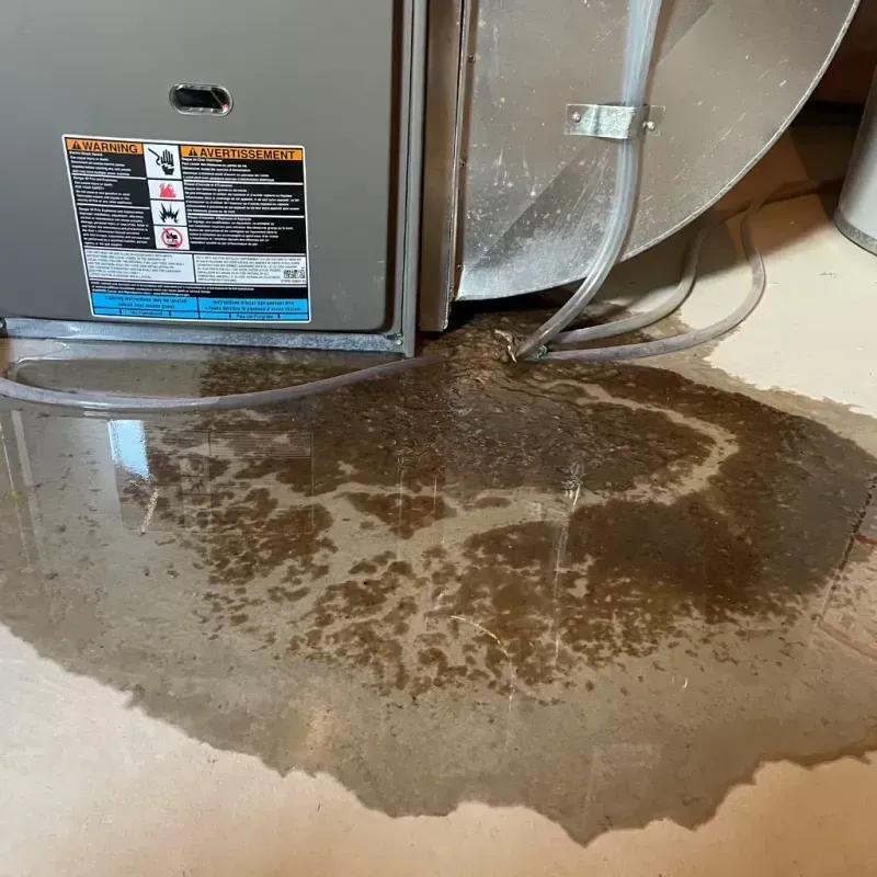 Appliance Leak Cleanup in Nottingham, NH